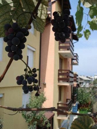 Mavrikova Kushta Hotel Banszko Kültér fotó